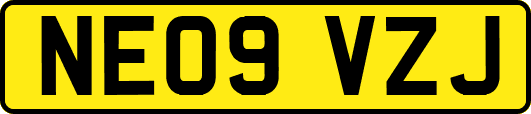 NE09VZJ