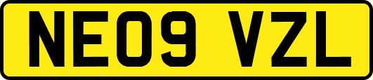 NE09VZL