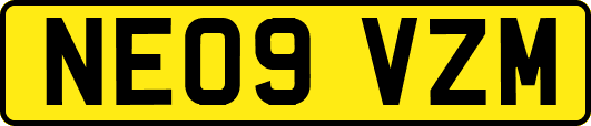 NE09VZM