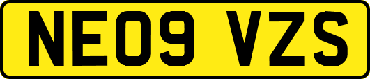 NE09VZS