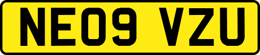 NE09VZU