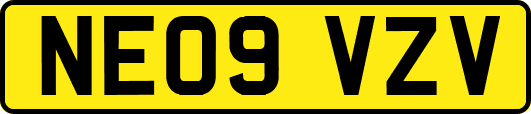 NE09VZV