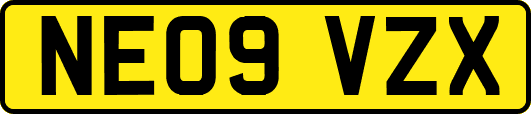 NE09VZX