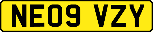 NE09VZY