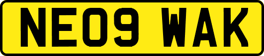 NE09WAK