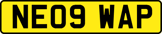 NE09WAP