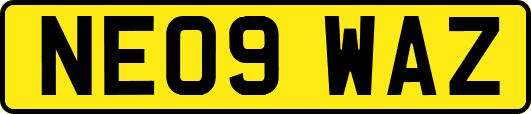 NE09WAZ