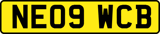 NE09WCB