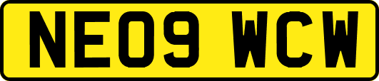 NE09WCW