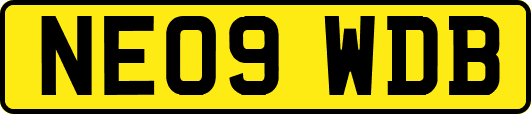 NE09WDB
