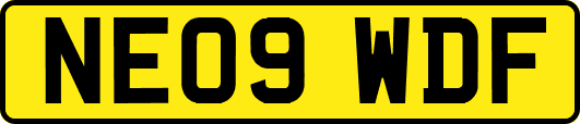 NE09WDF