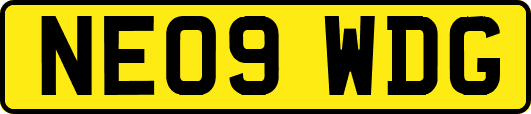 NE09WDG
