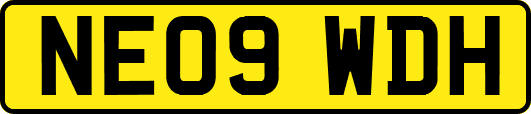 NE09WDH
