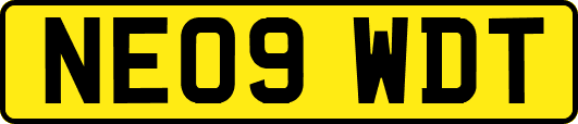 NE09WDT