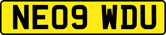 NE09WDU