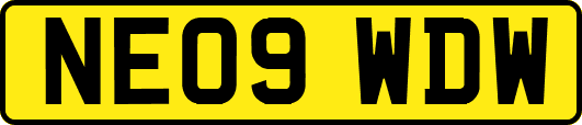 NE09WDW