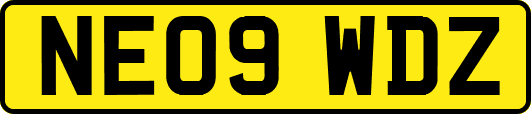 NE09WDZ