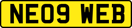 NE09WEB