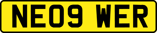 NE09WER