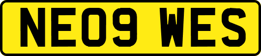 NE09WES