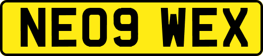 NE09WEX