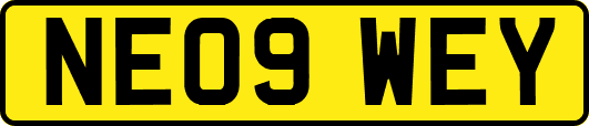 NE09WEY