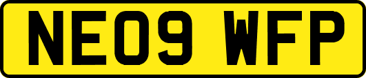 NE09WFP