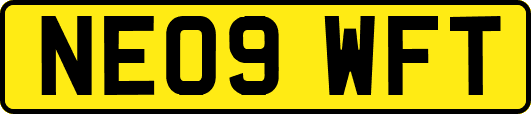 NE09WFT