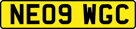 NE09WGC