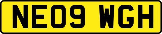 NE09WGH