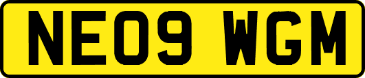 NE09WGM