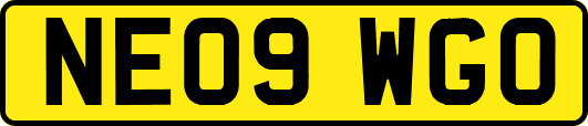 NE09WGO
