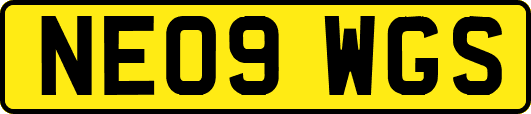 NE09WGS