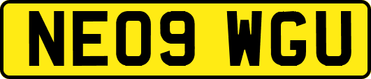 NE09WGU