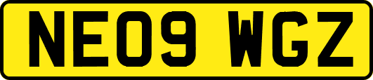 NE09WGZ