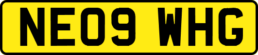 NE09WHG