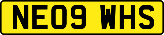 NE09WHS