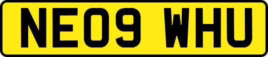 NE09WHU