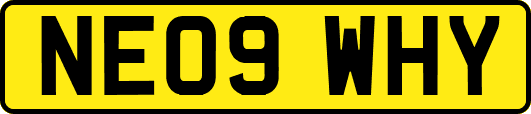 NE09WHY