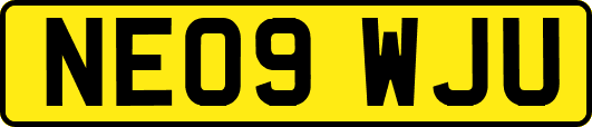 NE09WJU