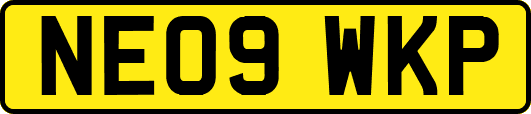 NE09WKP