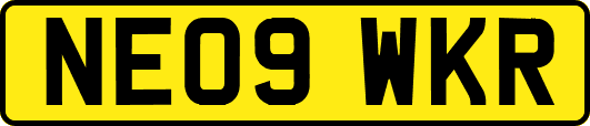 NE09WKR