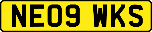 NE09WKS