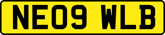 NE09WLB