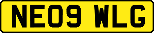 NE09WLG