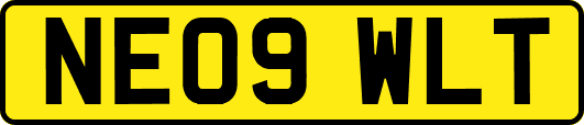 NE09WLT