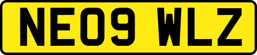 NE09WLZ
