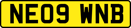 NE09WNB