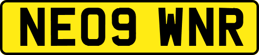 NE09WNR