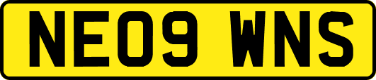 NE09WNS